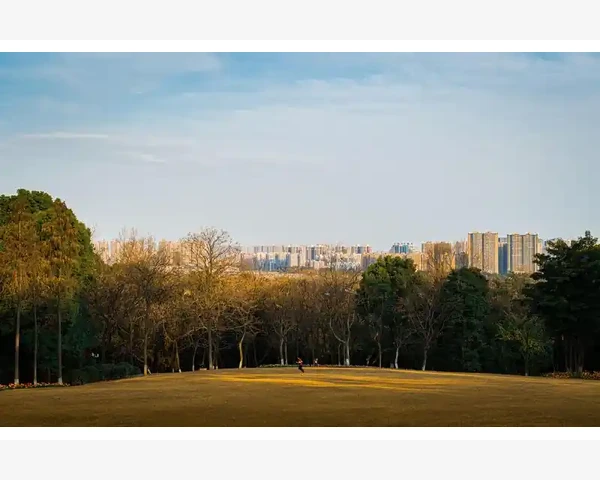吃清肺消炎丸会引发心悸吗？探究中医治疗的奥秘